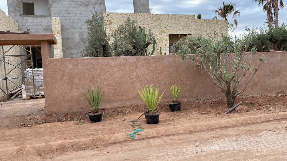 Jardin 05/2025